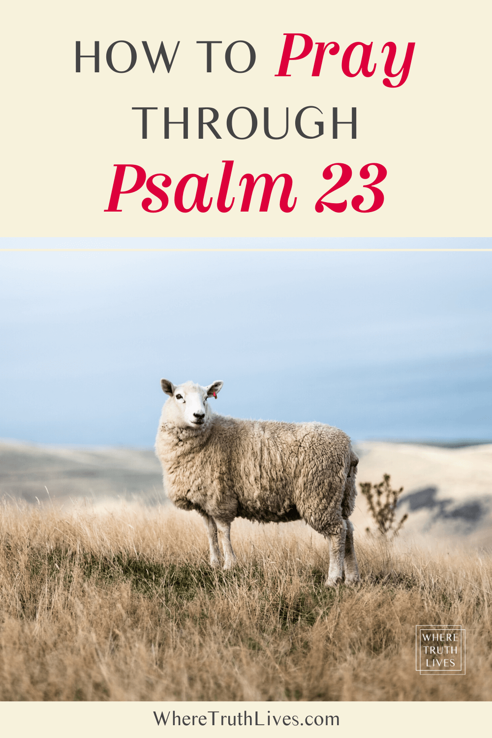 How To Pray Through Psalm 23