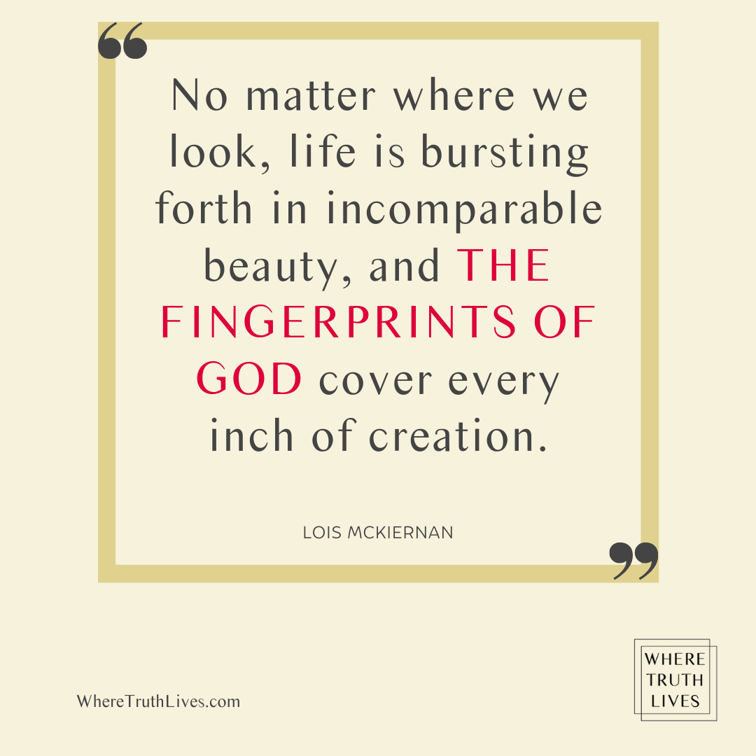 No matter where we look, life is bursting forth in incomparable beauty, and the fingerprints of God cover every inch of creation. - Lois McKiernan quote