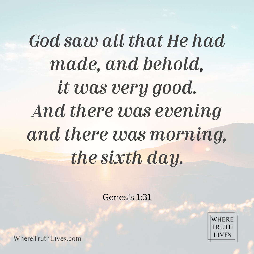 God saw all that He had made, and behold, it was very good. And there was evening and there was morning, the sixth day. (Genesis 1:31)