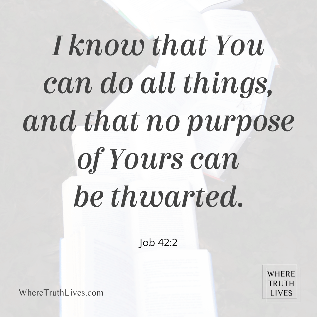 I know that You can do all things, and that no purpose of Yours can be thwarted. (Job 42:2)