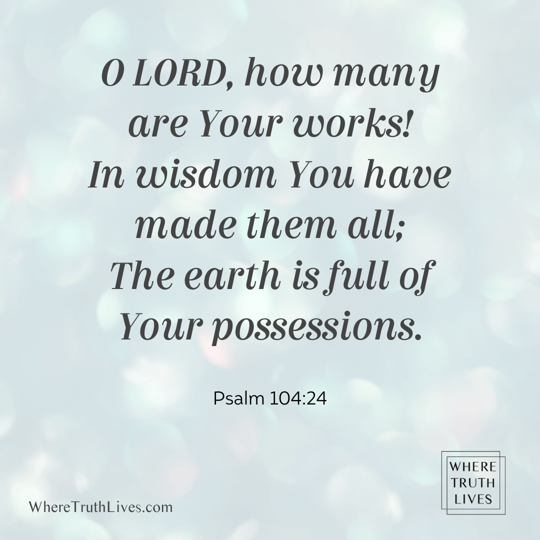 O Lord, how many are Your works! In wisdom You have made them all; The earth is full of Your possessions. (Psalm 104:24)